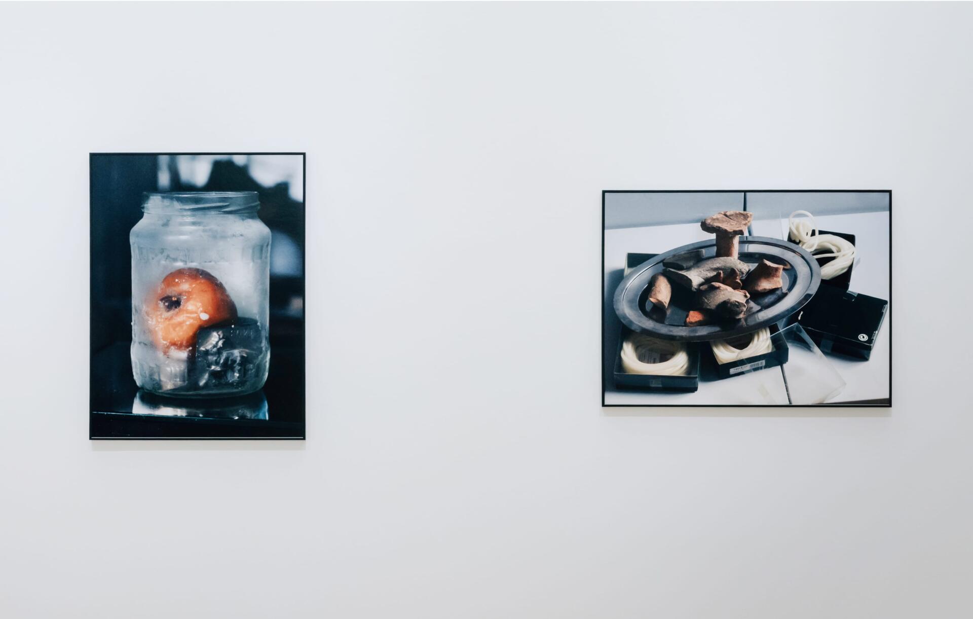 Susanna Hofer Featured Work